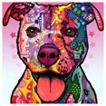 thumbnail image 1 of Cuadros Decorativos 5D bricolaje completo taladro cuadrado diamante pintura color perro punto de cruz bordado JShteea Nuevos Originales, 1 of 6