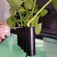 thumbnail image 4 of Soporte para plantas de acuario, soporte para plantas de acuario, 2 piezas, decoraciones para peceras para bambú de la suerte para narcisos (gancho largo, gancho corto), 4 of 5
