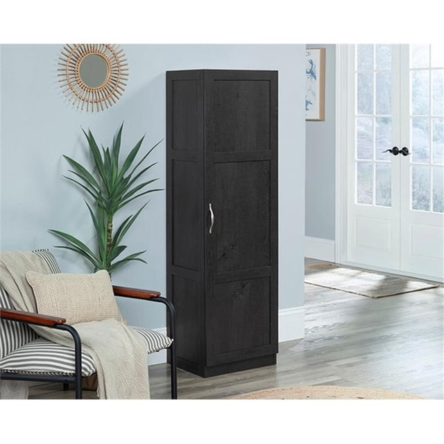 Sauder Miscellaneous Storage Engineered Wood Cabinet in Raven Oak