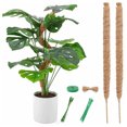 thumbnail image 3 of Bsvklp Soporte para Plantas Flexible Poste Musgo 2 Uds. para Monstera (25 Pulgadas/64cm), 3 of 9
