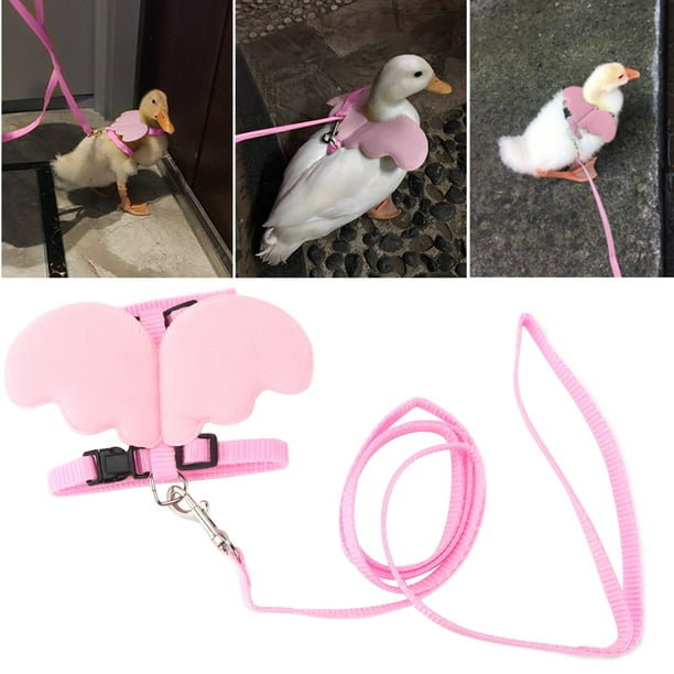 Ducks Harness Leash Chicken Pet Harness Leash Set Outside Walking for Duck ANGGREK Otros Walmart en linea
