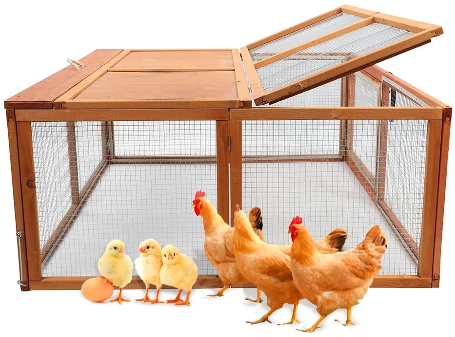chicken coop rabbit hutch