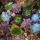 thumbnail image 4 of VERDANVERSE 8Ud Piedra De Musgo Artificial Verde Para De Y, 4 of 6