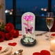 thumbnail image 5 of Adorno de luz nocturna con flores y rosas conservadas | Decoración LED de lámina de oro | Plástico acrílico | 22cm | Rojo, Dorado, Morado, Azul, Rosa | Acento de regalo para el hogar | Ambiente, 5 of 6
