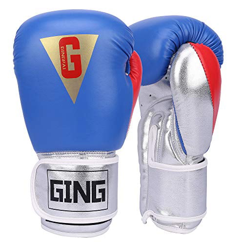 Blue Boxing Gloves Punching Bag and Women 10 oz Boxing Gloves for Men Youth 