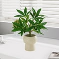 thumbnail image 6 of Luxcidy Fake Plants Ceramic Mini Artificial Greenery Potted Plants, Simulated Green Decoration Small Potted Plants for Home Decor Indoor Office Table Room Farmhouse Bathroom Decor, 6 of 6