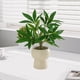 thumbnail image 5 of Plantas artificiales para decoración de sala de estar, plantas de interior artificiales, decoración de bonsáis, plantas eternas, flores artificiales, plantas verdes, para el hogar, la, 5 of 8