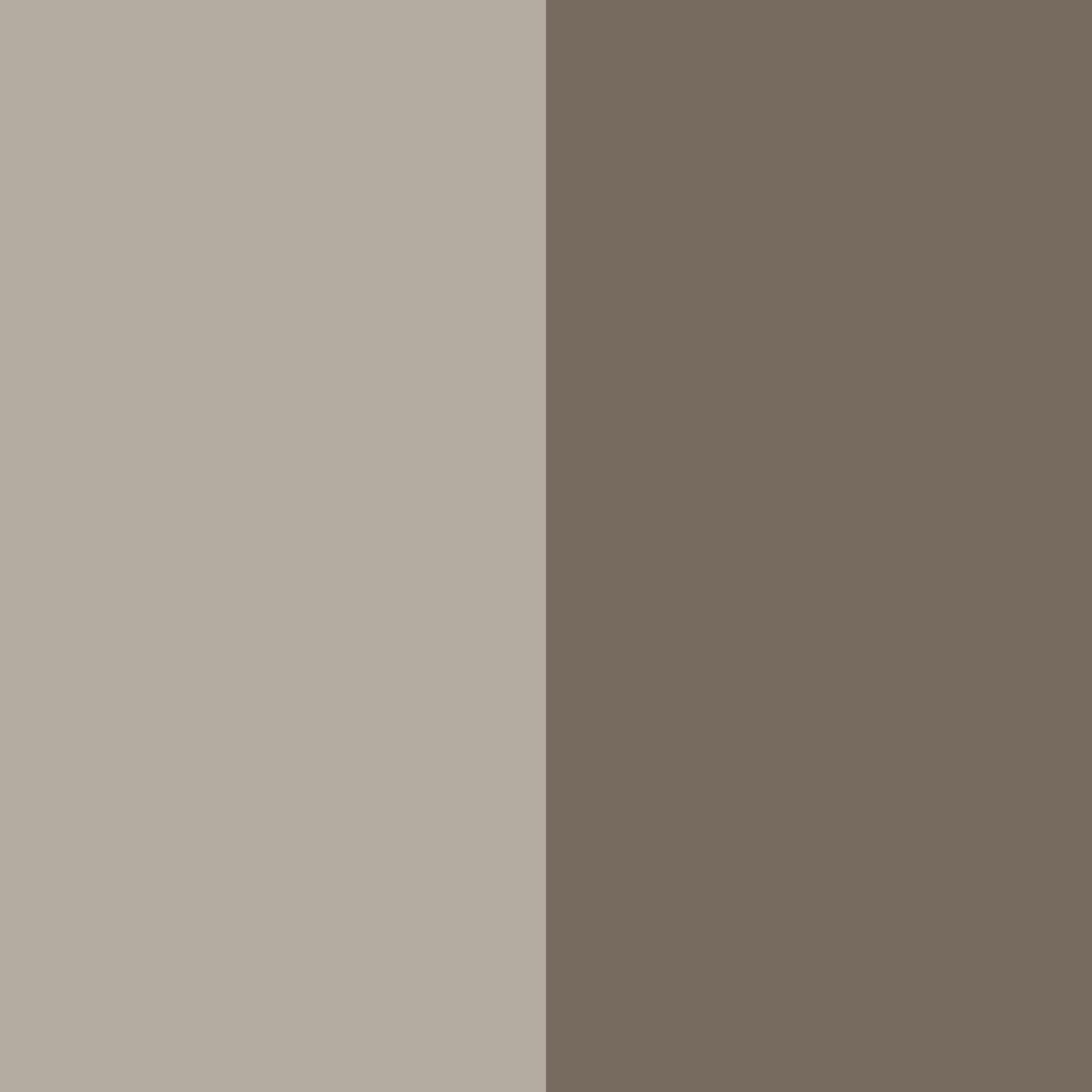 Desert Tan