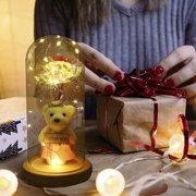 WEISIPU Mothers Day Flowers Gifts For Mom Wife Grandma,Light Up Rose Flower Gifts For Mom, Mother's Day Rose Gifts