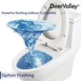 DeerValley Ally DV1F026 HighEfficiency Dual Flush Elongated Standard