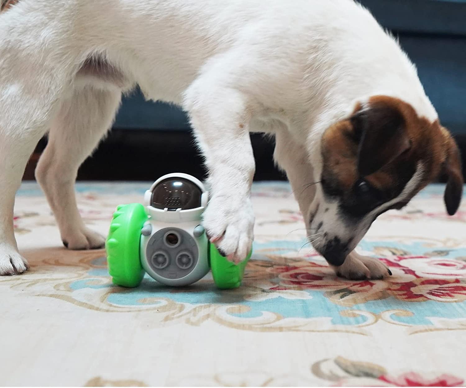 Interactive Toy & Food Dispenser – Mojito's Pet Market
