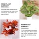 thumbnail image 3 of 2 soportes decorativos para plantas, herramientas de jardinería, soporte de hierro para plantas trepadoras., 3 of 5
