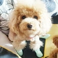 thumbnail image 6 of 4Pcs Waterproof Dog Boots Dog Shoes for Snow and Rain Middle and Small Dogs (Green) - L, 6 of 6