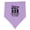 Lavender and Pink, variant on Inktastic Future Dominoes Player Game Baby Bandana Bib