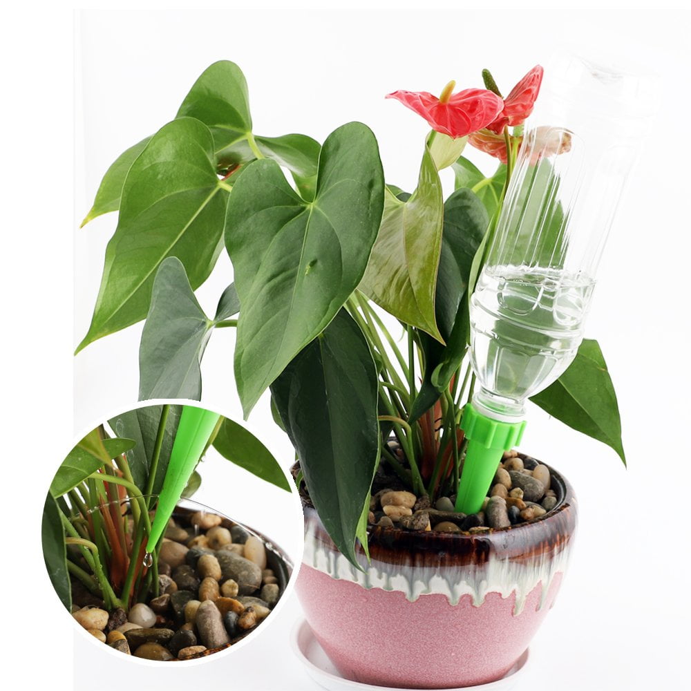 home plant watering system