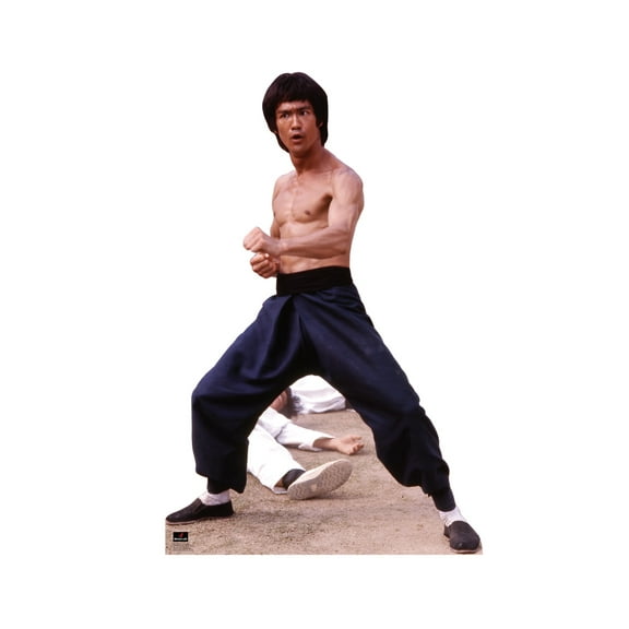 Bruce Lee - Fight Stance