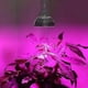 thumbnail image 4 of 18w LED Grow Light E27 Full Spectrum Plant Light LED Plant Lamp, 4 of 5