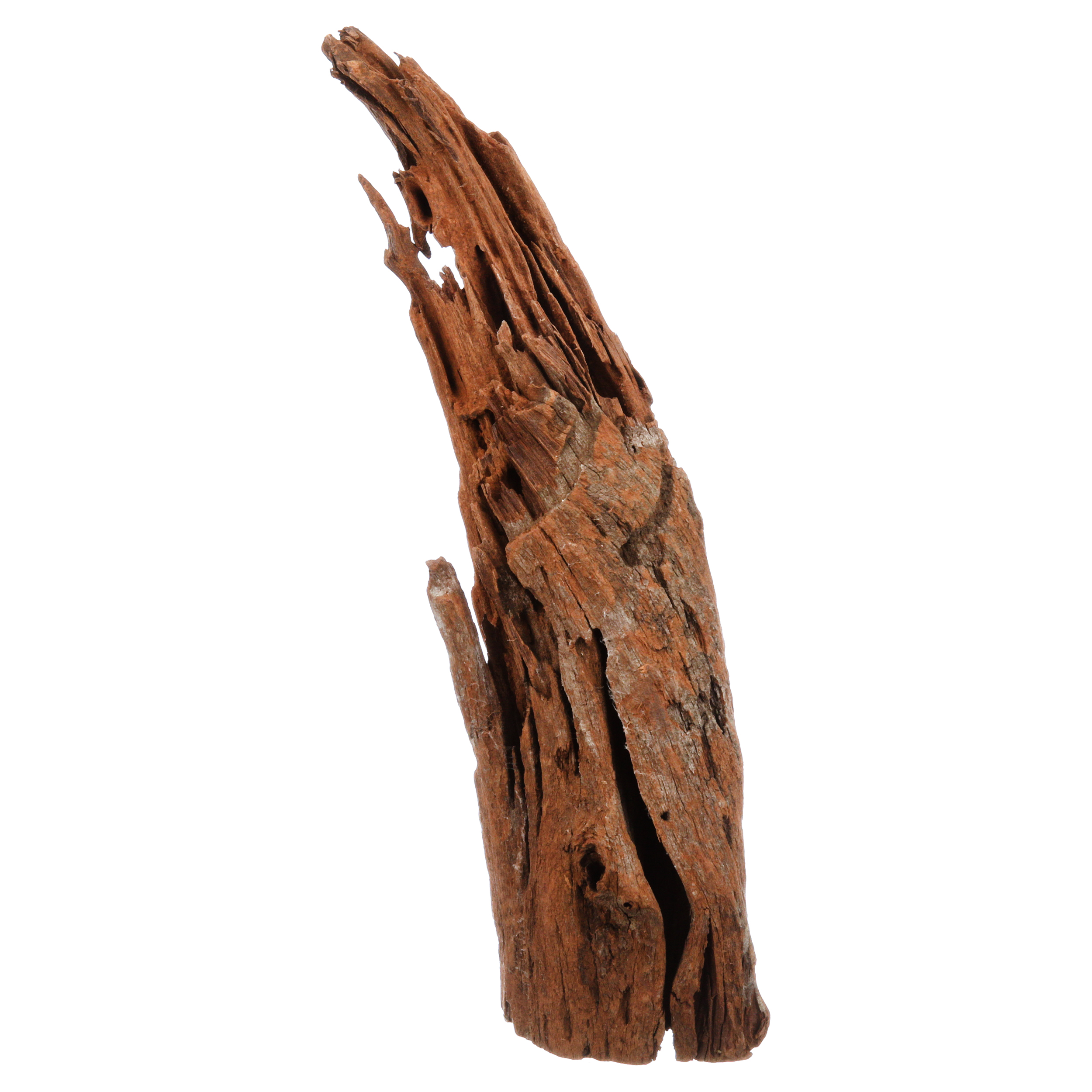 Galapagos Sinkable Driftwood, Natural, Medium Large 14-16in - image 3 of 6