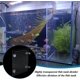 thumbnail image 4 of Kit separador de peces acrílico transparente para acuario con ventosas, rejilla de aislamiento y red divisoria., 4 of 6