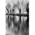thumbnail image 2 of Eggers, Terry 23x32 White Modern Wood Framed Museum Art Print Titled - USA-Washington State-Eastern Washington-Weeping willow tree reflecting in pond, 2 of 4