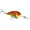 DB Craw, variant on Strike King KVD 1.5 Flatside Chili Craw