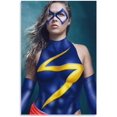 thumbnail image 1 of PPHAOSHO Ronda Rousey Professional Wrestler Poster frameless Painting Canvas Wall Posters Art Picture Print Modern Home Decor 12x18inch, 1 of 7