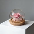 thumbnail image 6 of Artificial Flower Glass Dome with Night Light, Preserved Real Carnation for Mother'S Day Gift, Faux Flower Home Decor, Dustproof Glass Cover, Pink, 6 of 9