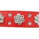 thumbnail image 3 of Collar para Perro con Pedrería, Collar de Cuero Sintético, Tamaño Ajustable, Mediano JM, 3 of 5