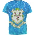 thumbnail image 2 of Connecticut Vintage Distressed State Flag All Over Mens T Shirt Multi 2XL, 2 of 2