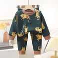 thumbnail image 2 of Gubotare Fall Pajamas Kids Boys Toddler Pajamas Set Long Sleeve Boys 2-Piece Snug Fit PJs Cozy Sleepwear Breathable Stretchy 2T 3T (Green,2-3 Years), 2 of 7