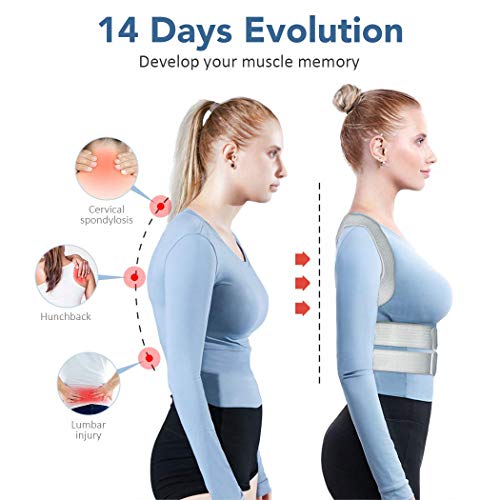 royal posture walmart