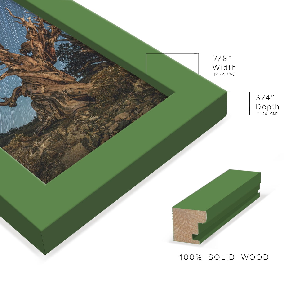 Modern 3.5 in. x 5 in. Green Picture Frame (Set of 4)