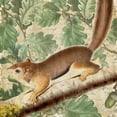 thumbnail image 2 of Kimberly, Allen 12x12 Gold Ornate Wood Framed with Double Matting Museum Art Print Titled - Chipmunk Square 2, 2 of 4