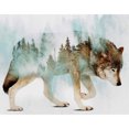 thumbnail image 1 of Diamond Painting (DE7882) 5D DIY Wolf Square Rhinestone Kit 40x50cm FLhrweasw Nuevo, 1 of 1