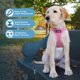 thumbnail image 2 of Arnés para perros Best Pet Supplies Voyager Step-In Air Pink XXS, 2 of 7