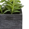 thumbnail image 5 of Northlight Artificial Mixed Succulents in Wooden Planter - 23", 5 of 5