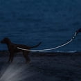 thumbnail image 3 of Leash With Handle And Carabiner For Dog Walking, Climbing, Training Outdoors Transparent Lagging 5feet, 3 of 5
