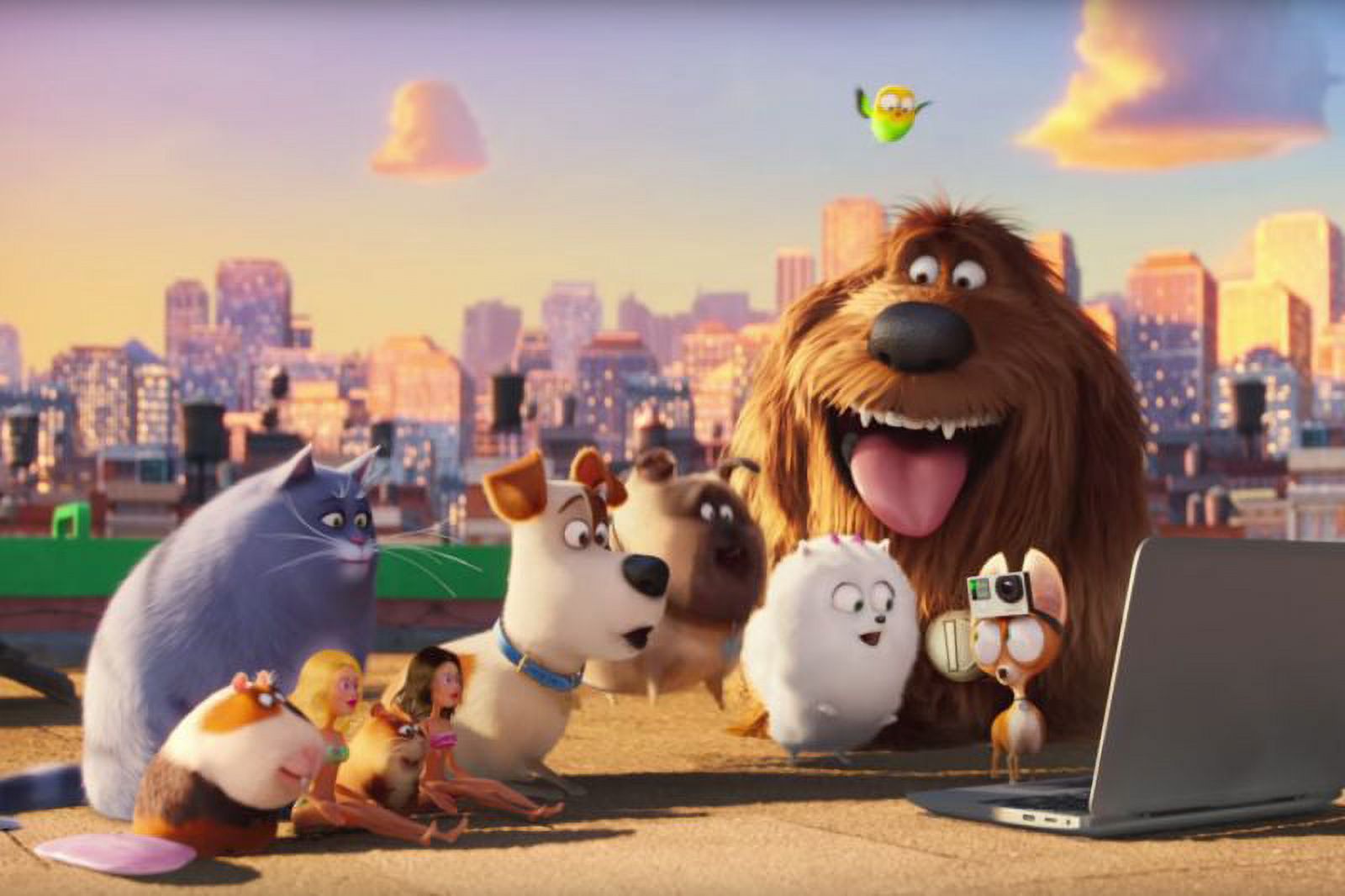 The Secret Life of Pets (Other) - image 3 of 5