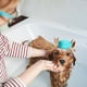 thumbnail image 5 of Fiudx Cepillo de Baño para Mascotas, Herramienta de Masaje de Silicona Suave, Cepillo de Aseo Multifuncional, Accesorio de Ducha con Agarre Ergonómico, Experiencia de Baño, Deleite para Los Dueños de, 5 of 5
