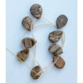 thumbnail image 4 of Tear Drop or Pear Shaped Jasper Beads - 15mm x 20mm - 9 Beads, 4 of 5