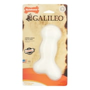 Nylabone Galileo Original Flavor Dog Toy, X Large