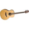 Takamine GS430S Acoustic Guitar