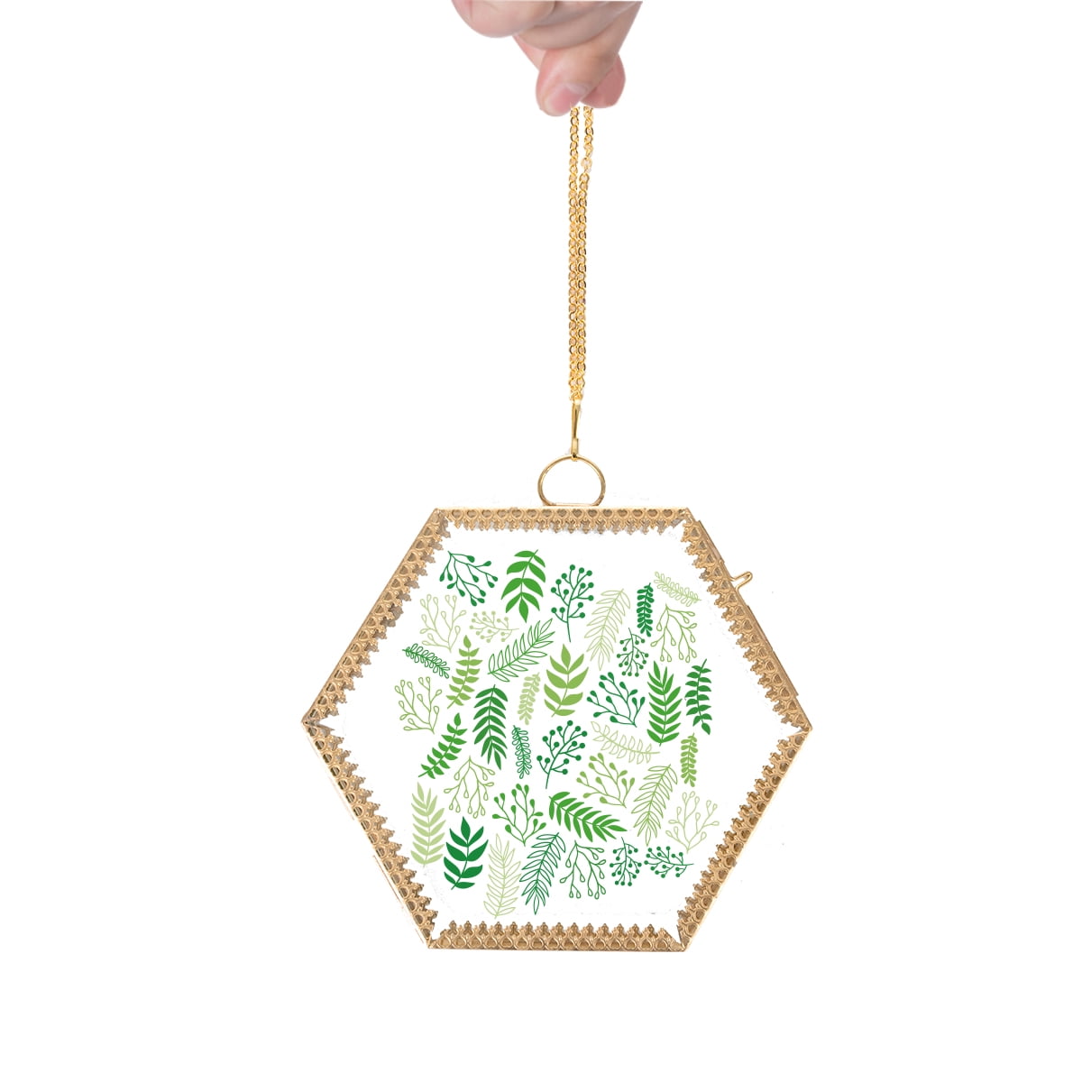 LONGWIN Glass Frame for Pressed Flowers 5.9 Inch Gold Hexagon Shaped Hanging Wall Decor Floating Frame for Dried Leaf Plants Specimen Artwork Double Side Glass Frame with Chain, Glass Frame Only