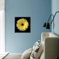 thumbnail image 5 of Yellow Gerbera Daisy, Botanical Framed Art Print Wall Art by Jim Christensen Sold by Art.Com, 5 of 5
