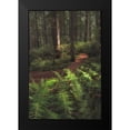 thumbnail image 2 of Head, Danny 11x14 Black Modern Framed Museum Art Print Titled - Fern Lined Path, 2 of 5