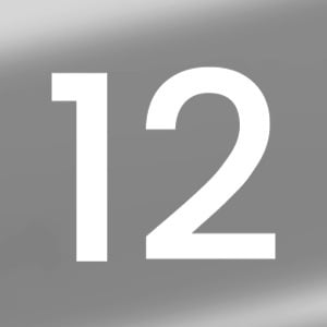 Silver 12AH