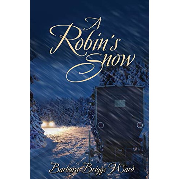 A Robin's Snow