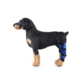 thumbnail image 3 of Karlsitek Dog Pet Knee Support Leg Operation Recovery Protector Straps Hock Brace Rear Joint Therapeutic Belt Wrap, 3 of 5