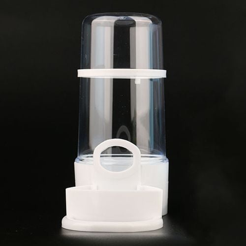 automatic hedgehog feeder