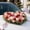 B, variant on Floral Foam Bricks, Heart-Shaped Flower Foam, Floristry Wedding Car Floral Mud Decoration Plate, Flower Arrangement for Wedding Flowers Bouquet,7.49x7.49x1.19 in(D)